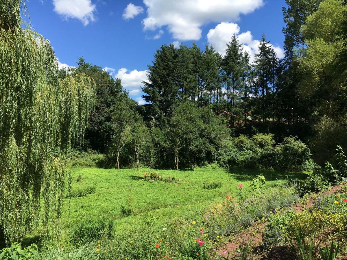 Haagalm Terrasse, Garten Nonnweiler المظهر الخارجي الصورة