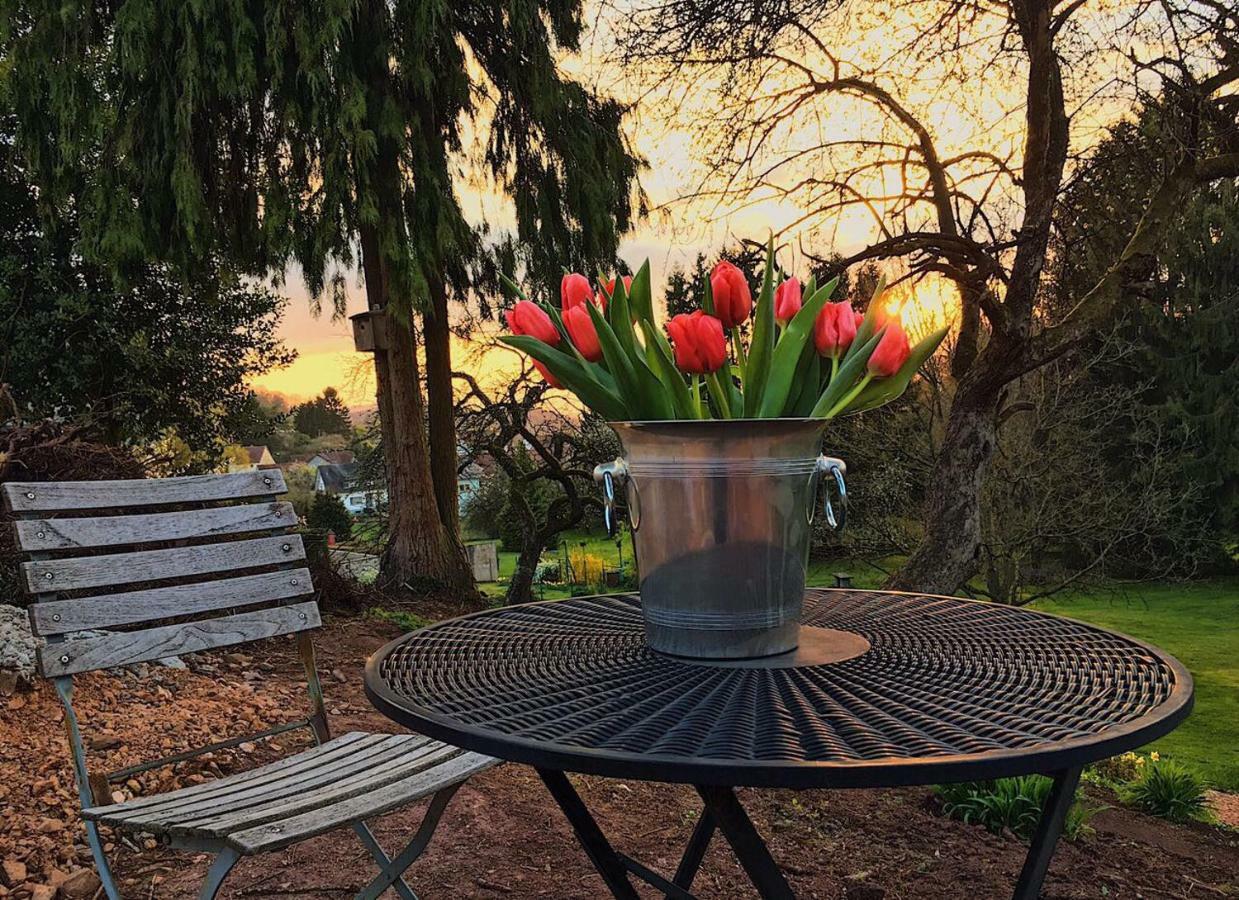 Haagalm Terrasse, Garten Nonnweiler المظهر الخارجي الصورة