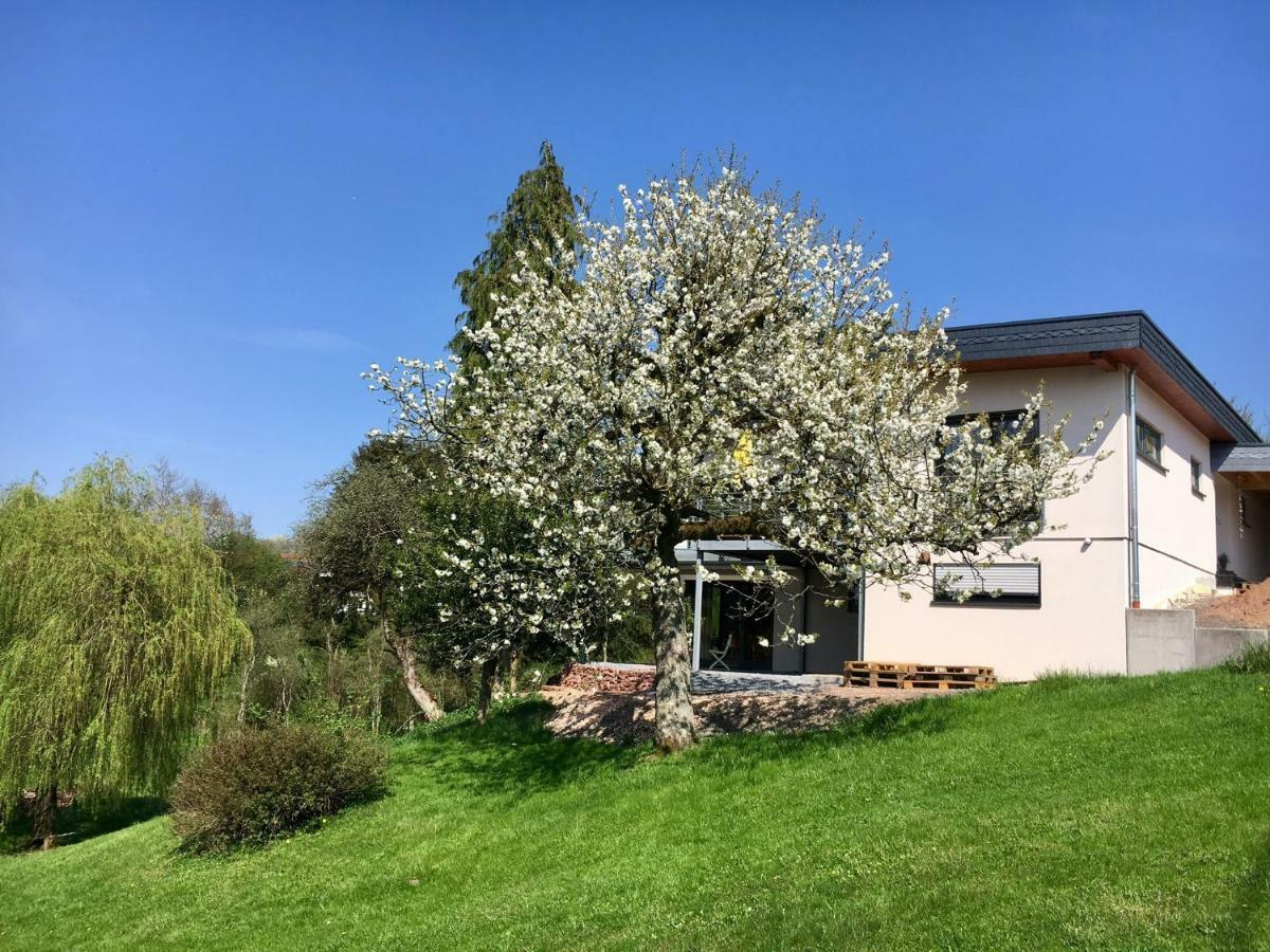 Haagalm Terrasse, Garten Nonnweiler المظهر الخارجي الصورة
