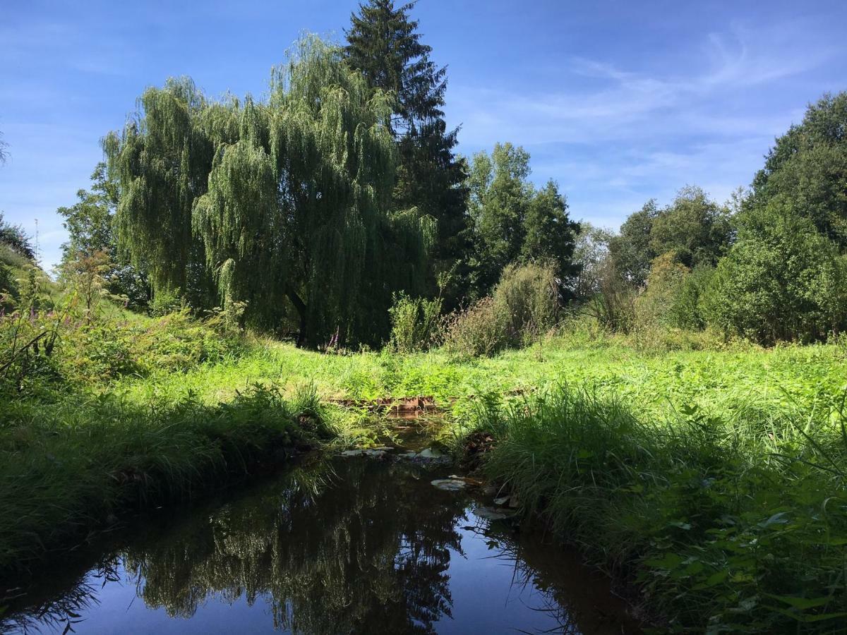Haagalm Terrasse, Garten Nonnweiler المظهر الخارجي الصورة